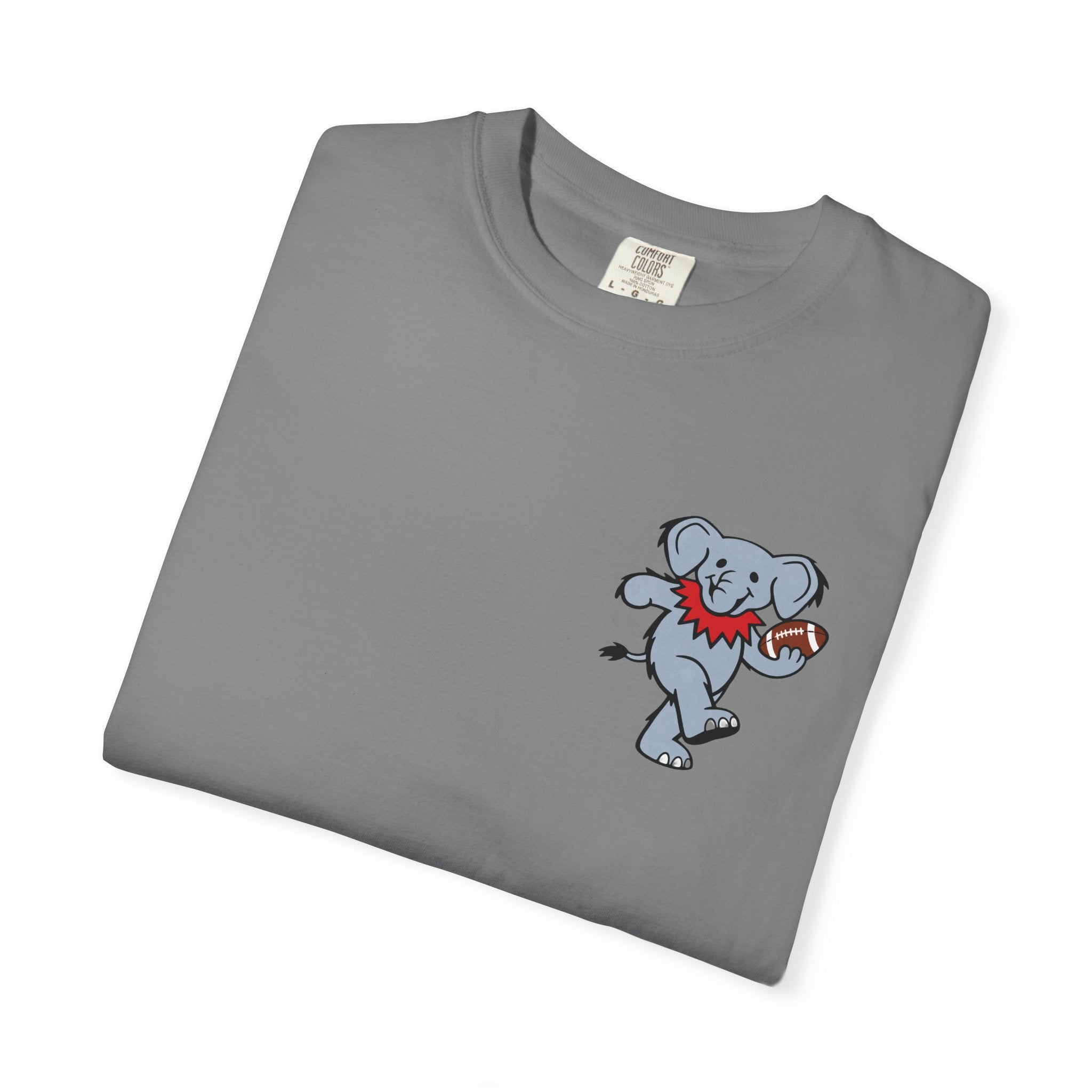 "Own The Paint" Comfort Colors T-Shirt