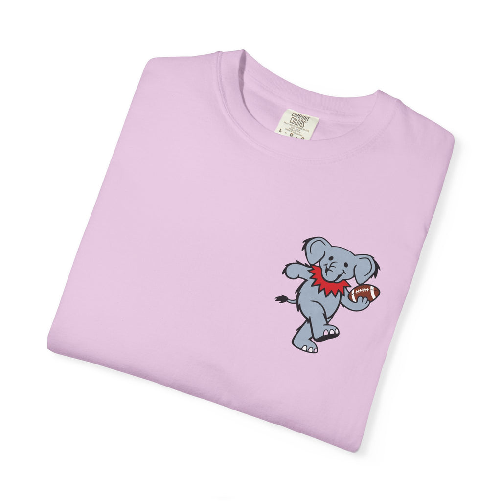 "Own The Paint" Comfort Colors T-Shirt