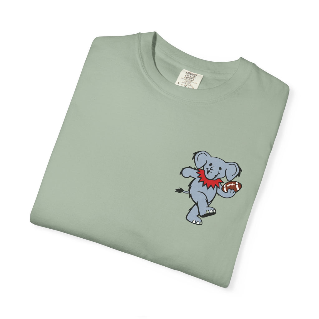 "Own The Paint" Comfort Colors T-Shirt