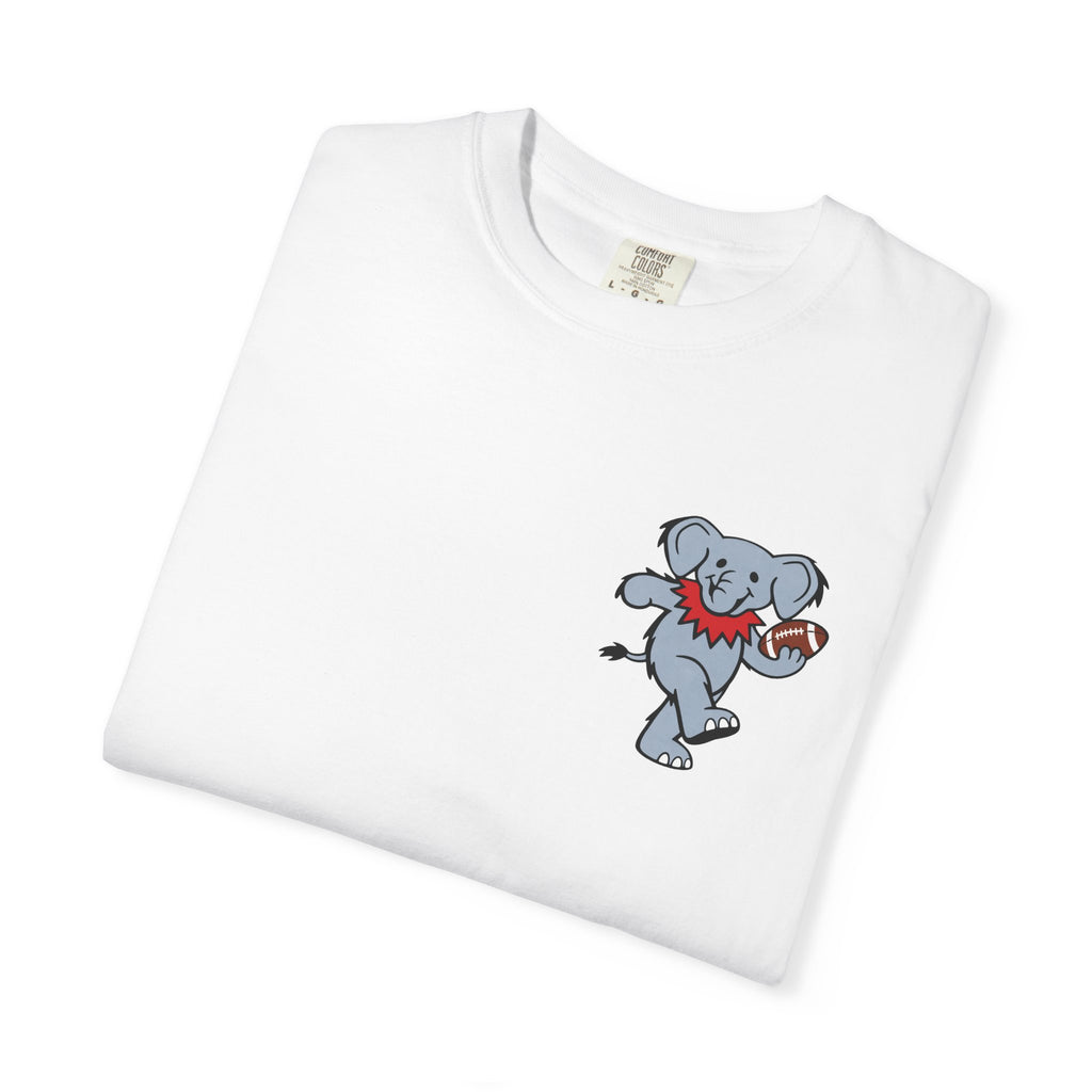 "Own The Paint" Comfort Colors T-Shirt